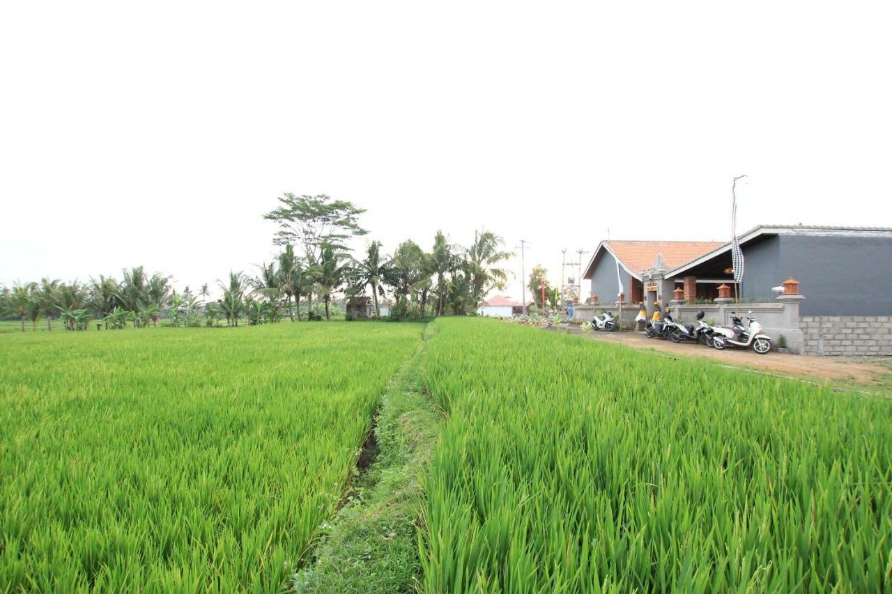 Ayuna Family Ubud Exterior foto